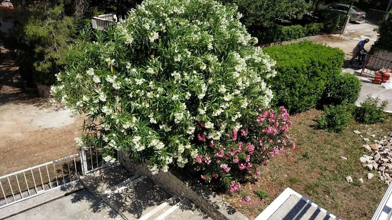 Apartment Slavonija Slatine Croatia