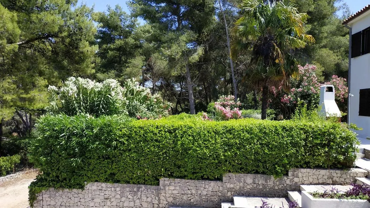 Apartment Slavonija Slatine 0*,  Croatia